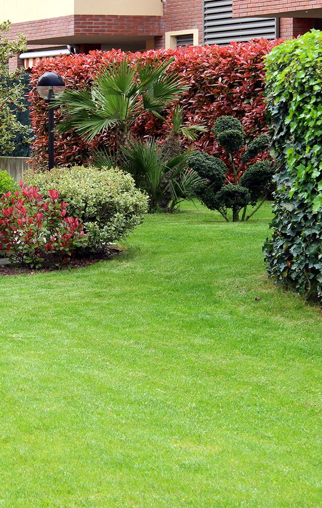 Gartenlandschaft - Rasen, Pflanzen und Lampe